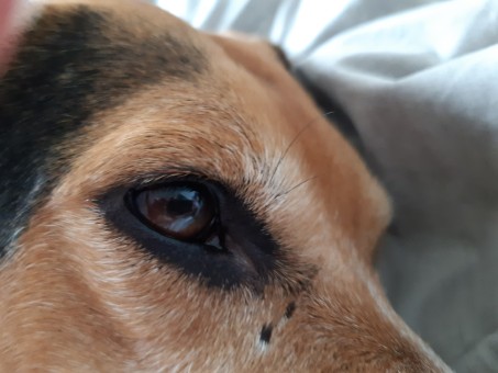 0000D848-0EA0-4E06-81EA-772B8DFA55C7