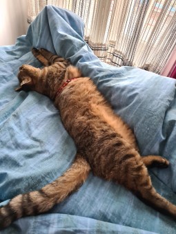 02CDDA73-D34A-4FC4-A2AA-579D1965494F