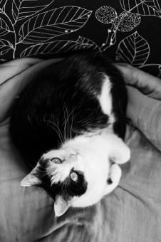 0574D444-489B-4250-AA94-8514EBD08FB9