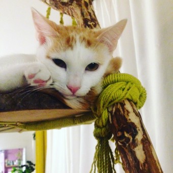 0970959B-812E-4E65-A9EB-E02110F8970A