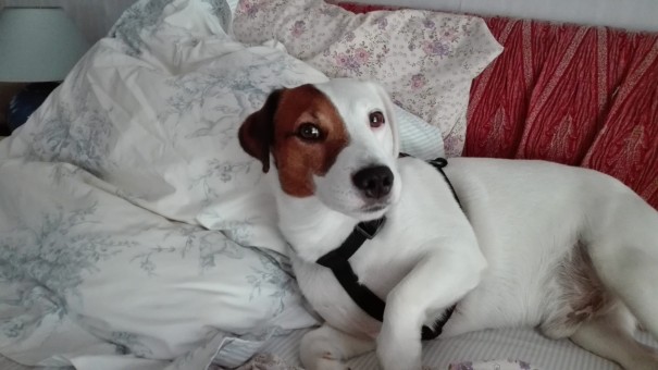 09D0ECFB-1C57-40D5-A2E8-972882030740