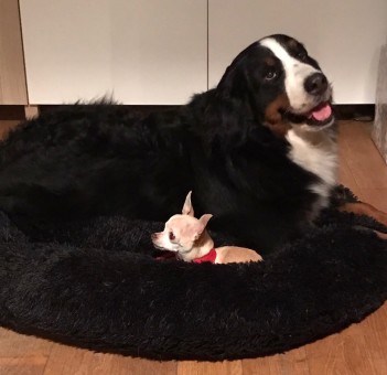 0AA84D10-2DDB-49DF-9478-5FE01DA16B02