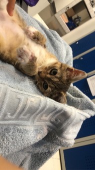 11C76E3D-B610-4AF0-8ECC-08E748840856