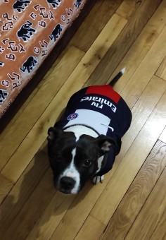 14EB62E8-6A48-47F7-93C5-07C0212E0ADB