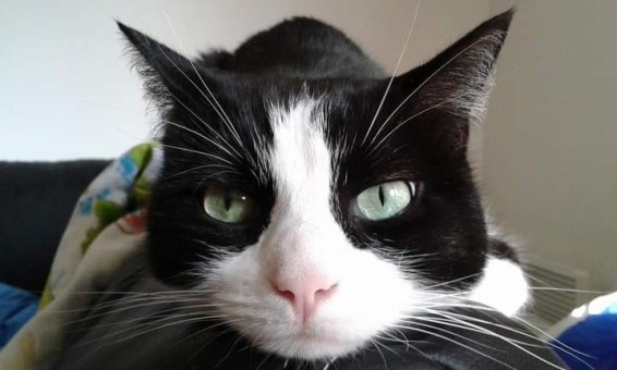 20B84A7B-E2B9-4A17-8C4E-EEC84685B3DE