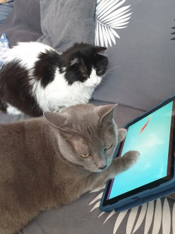 27C50395-22E5-42DB-ABD6-D9DE6040BE0A