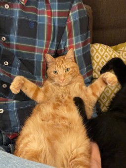 2E467E4D-379E-41FA-A784-8655A652A79E