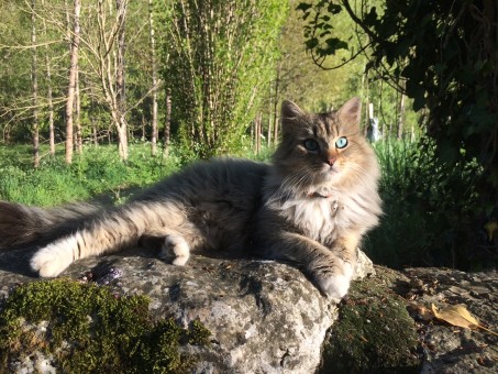 30FE91FD-59AA-4123-B734-ED781E8750F6