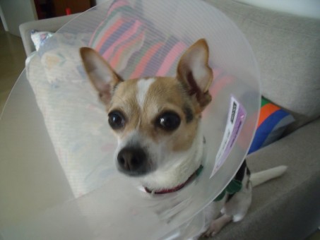 32A71603-F285-4335-BF65-4FF7D2DF4C57