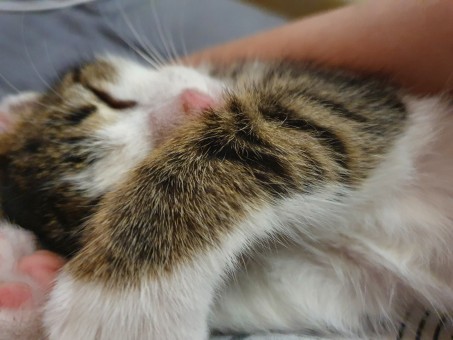 32C51AB9-810B-4D6F-AC04-0A111B448C57