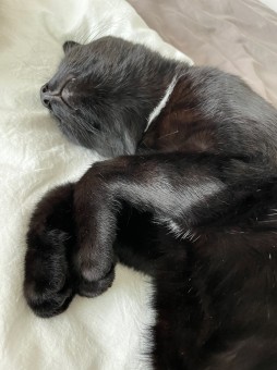 353DB5D3-E86F-4875-8710-B05CC61CCABE