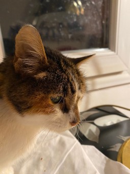 366D7A39-D90A-4713-8568-F08B8D08CE99