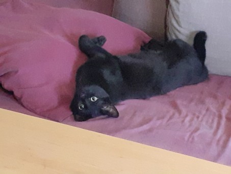 36F5CE3C-418A-486A-9A92-A0D28524F756