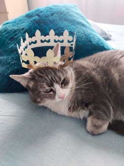 380E5F8E-DC22-42BE-B3A6-D435E5F77D9A