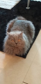 3B6B0318-1CFC-4EF9-8642-75AB5C8D6C04