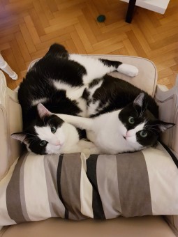 3B76AAB2-426B-4CD7-9965-091A275DF8D5