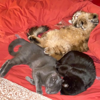 3CB5B45C-DBEA-43B7-A758-F28444595020