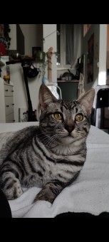 3E9042C0-C27F-45D9-B83E-9F153779AC03