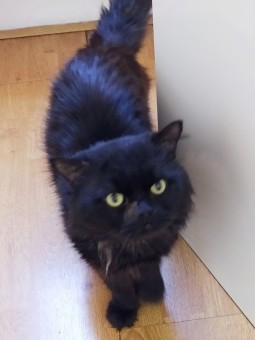 40202BB9-6311-4A26-835D-F519DB2A5263