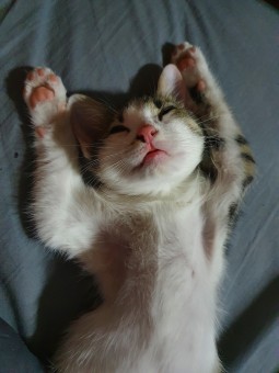 40375650-7D23-472E-80F6-10F111F07580