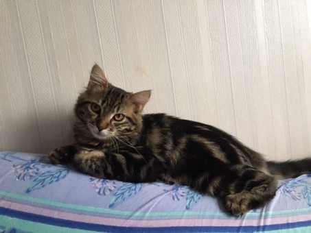 434D37EE-AA38-4552-97B6-9E02342C8C49