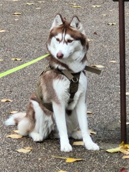 44E09BC8-8700-49F2-9256-F5E8C9DAFC0F