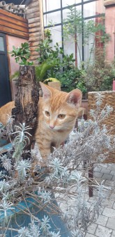 4934AD09-7C46-4BBF-8D55-38AEE4F879E9