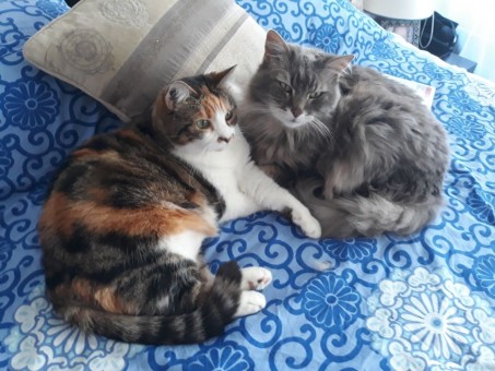 4A0E5962-FB3D-4E82-8040-689ECE6800F4