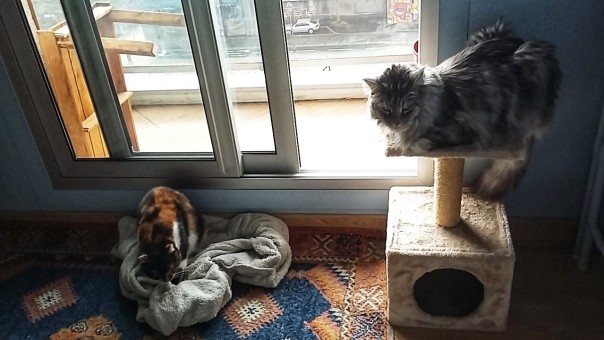 52DE951B-A4C6-4CBD-990F-FF8E3C1E995B