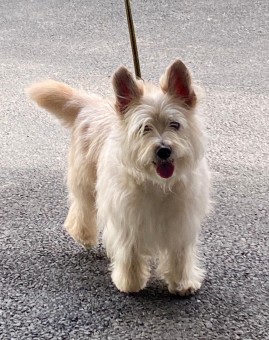 559D756B-813A-4BD9-8CA0-169A7C94FE08