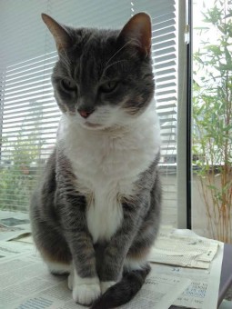 568FEB15-94C2-4BF6-974E-A302E64EDD7A