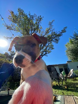 56E6AE91-B351-4029-A881-6AFD5E4398CA