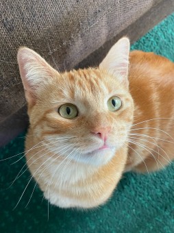 5BF948CC-B40C-43CA-B40E-4FCE6BC632FC