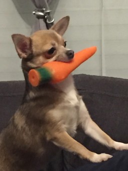 5C5A6E27-32B7-44C9-B66D-52CDC25B4C75