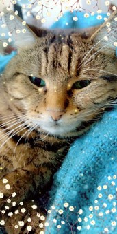 5CB2714E-619B-4555-9D6B-7794928D67BC