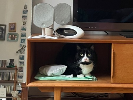 5F47129C-923E-41EB-BEF8-708B428555FB