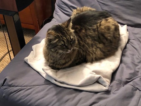 5FC4BFD2-B39E-4A20-B37D-92F4E23F5073