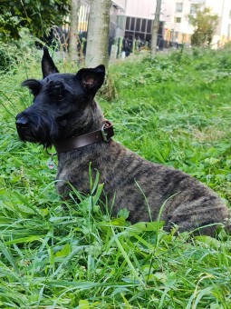 62C90CBC-9C5C-4C58-8EE9-46B38C9BDB37