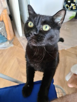 63C1DF21-DFDF-4603-8ED4-D84D87F64CFC