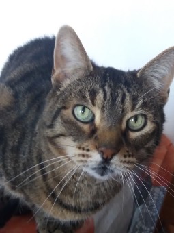 65669F40-6BFE-4158-8CD2-D303CBBBF5C5