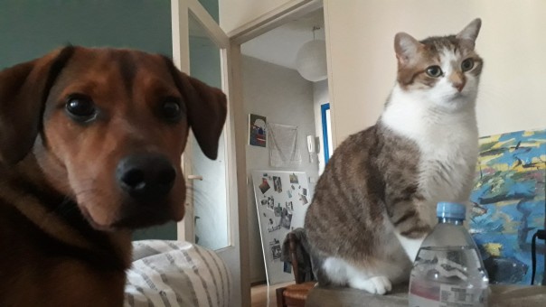 65CC1E51-6F89-40ED-BB68-C23F7214DECE