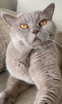 6CD4C487-6EDE-4803-8B6C-E9FDEB56D8FA