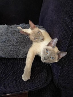 6D0F8C77-BB03-4A36-80B2-15C812AC8CC4