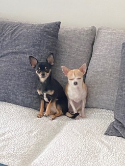 6ED0104B-4BC7-438E-9767-5F692936A238