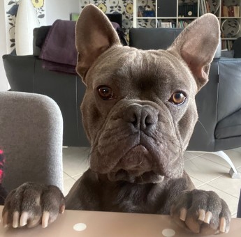 723BC8E8-AD42-4FBB-91FF-AE9DA32D93A8