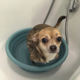 759685DD-76C9-44CE-8D16-E4EAA81CC92B