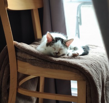 78DE1C5D-3F1E-4FCF-A828-1A574D70C337