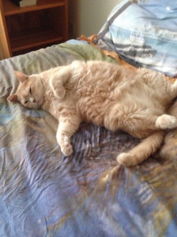 793C422D-9080-4697-9CF9-0A4B941BEB28