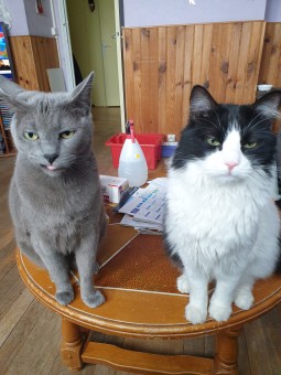 7BB7EE6F-2FF3-478D-B9C4-019BBA919FC0