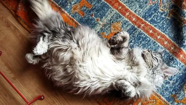 7C104EF2-772E-48DD-9B1B-ECEC7CC975DD